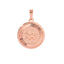 Zodiac Necklace Rose Gold