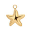 Sun Kissed Beach Charms