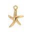 Sun Kissed Beach Charms