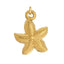 Sun Kissed Beach Charms