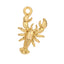 Sun Kissed Beach Charms