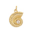 Sun Kissed Beach Charms